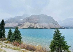 Ngắm vẻ đẹp xanh biếc của hồ Peyto ở Canada