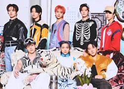 Stray Kids nhận bằng khen của Thủ tướng Hàn Quốc