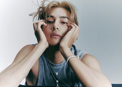 V (BTS) bị fan cuồng theo dõi và đưa giấy đăng ký kết hôn, cảnh sát liền vào cuộc bắt giữ