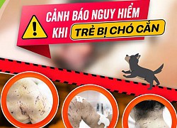 Bé gái bị 4 con chó tấn công với hàng trăm vết thương trên người