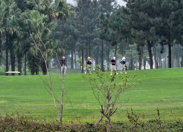 Truy tố Phó chủ tịch Hiệp hội Golf Việt Nam tội đánh bạc