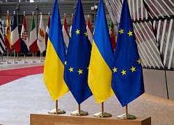 Ukraine có thể khởi động đàm phán gia nhập EU trong năm nay