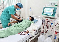 Suy thận nặng vì tin cỏ mực, đậu đen xanh lòng