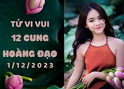 Tử vi vui 12 cung hoàng đạo thứ 6 ngày 1/12/2023: Bạch Dương tự cao quá mức, Cự Giải lạm dụng quyền lực