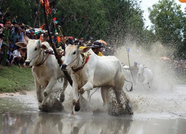 An Giang phát triển mới các sản phẩm du lịch