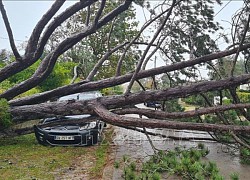 Bão Ciaran càn quét khu vực Tây Âu, hơn 10 người thiệt mạng