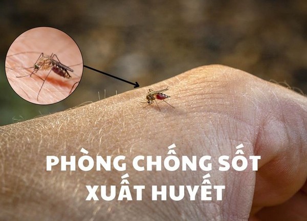 Cảnh báo dịch sốt xuất huyết bùng phát tại thời điểm giao mùa