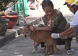 Trong lúc vui đùa, 2 trẻ nhỏ ở Đồng Nai bị chó dại cắn