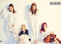 Dara gây tranh cãi vì phát ngôn 'nhiều fan 2NE1 đã chuyển qua thích BLACKPINK'