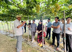 Đoàn công tác Sở Du lịch Khánh Hòa khảo sát du lịch tại tỉnh Ninh Thuận