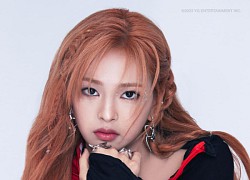 YG tung ảnh visual em út nhóm nữ mới: "Bản sao" hoàn hảo của Lisa (BLACKPINK)?