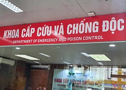 Ba bố con đi cấp cứu sau khi ăn loại hạt chứa chất độc có trong thuốc trừ sâu