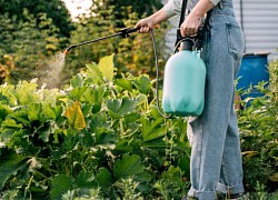 Các nhà khoa học tìm ra thêm &#039;thủ phạm&#039; làm giảm lượng tinh trùng