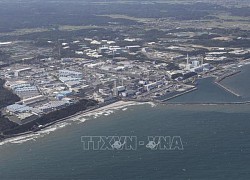 TEPCO hoàn tất đợt 3 xả nước thải từ nhà máy Fukushima ra biển