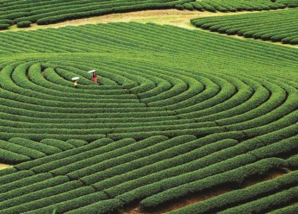 Khu du lịch quốc gia Mộc Châu - điểm đến thiên nhiên hàng đầu thế giới