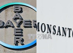 Mỹ phạt Monsanto hàng trăm triệu USD liên quan hóa chất PCB