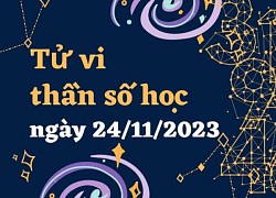 Thần số học thứ 6 ngày 24/11/2023: Thời điểm để gặt hái thành công và nghỉ ngơi, số 4 bớt khoe mẽ