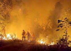 Bolivia: Cháy rừng thiêu trụi 3 triệu ha đất rừng