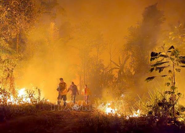 Bolivia: Cháy rừng thiêu trụi 3 triệu ha đất rừng