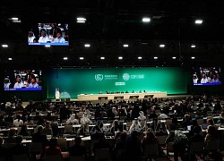 COP28: Đức nêu 3 yêu cầu đàm phán