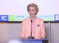 COP28: Hơn 110 quốc gia tán thành tăng gấp 3 công suất năng lượng tái tạo vào năm 2030