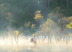 Đẹp ma mị suối Tía - Đà Lạt