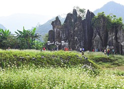 Lễ hội Hoa tam giác mạch - Sản phẩm sáng tạo của du lịch Hà Giang