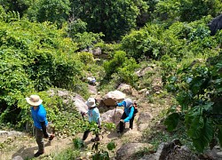 Hành trình "săn mây" trên đỉnh Chư Yang Lak