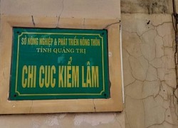 Khởi tố nguyên Chi cục trưởng Kiểm lâm Quảng Trị