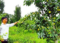 Mênh mông Suôi Thầu (Xín Mần, Hà Giang)