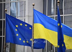 Quốc hội Ukraine đặt ưu tiên xích lại gần EU, NATO trong năm 2024