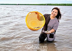 Trải nghiệm bãi nghêu