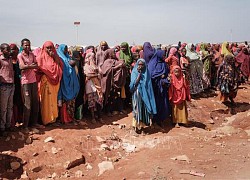 WFP kêu gọi hơn 360 triệu USD tài trợ để mở rộng hoạt động nhân đạo ở Somalia