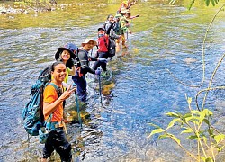 Cao nguyên Gia Lai: "Thiên đường của những chuyến trải nghiệm"