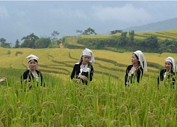 Hồng Thái, Na Hang (Tuyên Quang) - Vùng đất bình yên và thơ mộng