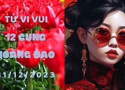 Tử vi vui 12 cung hoàng đạo Chủ Nhật ngày 31/12/2023: Song Tử để cảm xúc điều khiển, Cự Giải chớ tham vọng