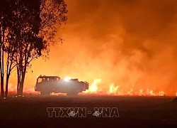 Australia: Nguy cơ cháy rừng thảm khốc ở bang South Australia