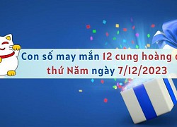 Con số may mắn hôm nay 12 cung hoàng đạo ngày 7/12/2023