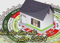 Năm 2024 những tuổi nào làm nhà được?