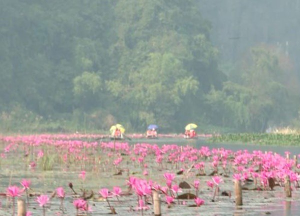 Ninh Bình: Bảo tồn giá trị hệ sinh thái, cảnh quan sông Ngô Đồng