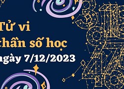 Thần số học thứ 5 ngày 7/12/2023: Số 2 cẩn thận người yêu có tiểu tam, số 4 bất hòa với gia đình