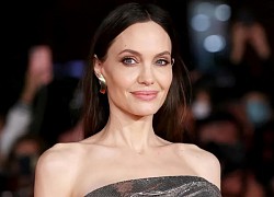 Angelina Jolie 'chưa hề nghĩ sẽ trở thành ngôi sao điện ảnh'