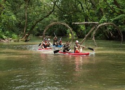 Trải nghiệm thiên nhiên kì thú tại OZO Park