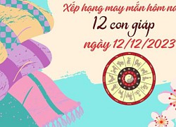 Xếp hạng may mắn của 12 con giáp ngày 12/12/2023: 1 ngày may mắn của Tuất, Dậu cần cẩn thận