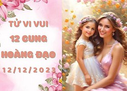 Tử vi vui 12 cung hoàng đạo thứ 3 ngày 12/12/2023: Sư Tử cảm xúc cực đoan, Thiên Bình 'dễ vỡ'