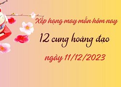 Xếp hạng may mắn của 12 cung hoàng đạo ngày 11/12/2023: 1 ngày rất may mắn với Ma Kết, Nhân Mã cần cẩn thận