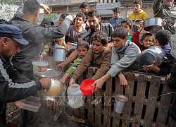 Công tác cứu trợ của WHO tại Dải Gaza bị cản trở