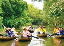 Đến Đồng Tháp, thưởng thức 'đặc sản' câu cá, chèo xuồng ngắm sen