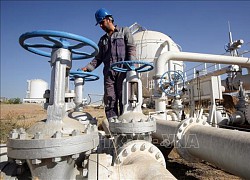 Dự báo thế giới 2024: OPEC giữ nguyên dự báo về nhu cầu dầu mỏ