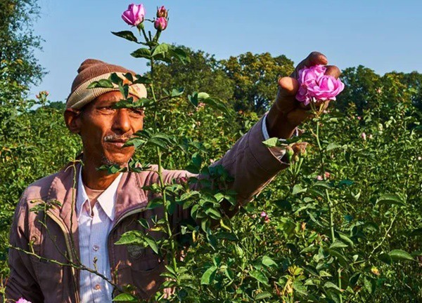 Du hành đến thế giới mùi hương tại Ấn Độ